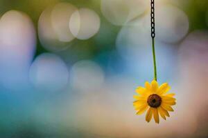 a single yellow flower hanging from a chain. AI-Generated photo