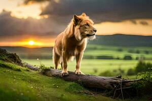 a lion standing on a log in the middle of a field. AI-Generated photo