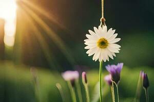 a daisy is hanging from a string in the sun. AI-Generated photo