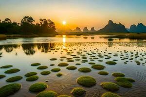 the sun sets over a river with green algae. AI-Generated photo