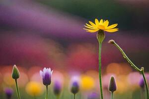 a single yellow flower stands out in a field of purple and yellow flowers. AI-Generated photo