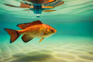 a fish swimming under water with a drop of water. AI-Generated photo