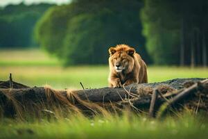 el león es caminando en el caído árbol. generado por ai foto