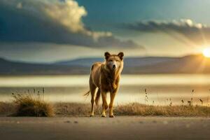 un perro en pie en el playa a puesta de sol. generado por ai foto