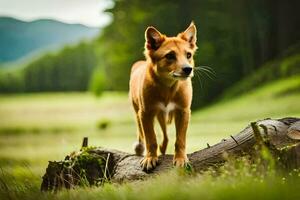 a dog standing on a log in a field. AI-Generated photo