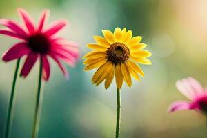 three yellow flowers are standing in front of a green background. AI-Generated photo