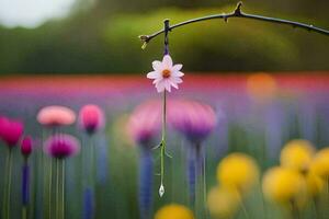 a flower hanging from a branch in a field. AI-Generated photo