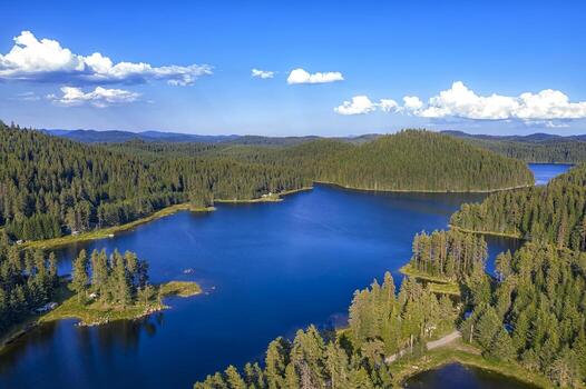 Amazing aerial view from drone of a beautiful panorama of blue water and green forest. photo