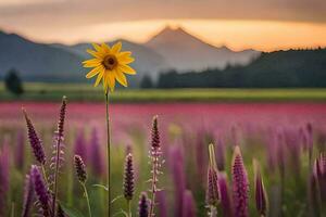 a single yellow sunflower stands in a field with purple flowers. AI-Generated photo