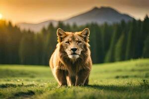 a lion standing in the middle of a field at sunset. AI-Generated photo