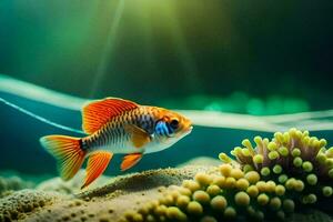 un pescado en un acuario con algunos coral. generado por ai foto