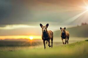 dos ciervo corriendo en el césped a puesta de sol. generado por ai foto