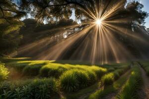 Scenic landscape rays of light in the forest created with generative ai technology photo