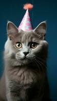 listo para la fiesta gato, cumpleaños sombrero y azul fondo ai generado foto