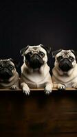 pugs posando con blanco papel tablero en estudio. Bosquejo modelo. Copiar espacio. ai generado foto