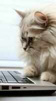 Close-up of a cat and a laptop on a white background. Copy space. AI Generated photo