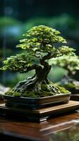 Lush miniature tree on wooden table, bridging nature and interior aesthetics Vertical Mobile Wallpaper AI Generated photo