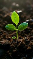 Close-up, soil embraces young plant, natures promise of growth and vitality Vertical Mobile Wallpaper AI Generated photo