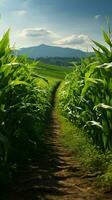 Fertile private land, rows of vibrant green corn shoots create picturesque scenery Vertical Mobile Wallpaper AI Generated photo