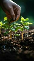 Hand pouring black soil on green bokeh background Planting a small plant on a pile of soil or pouring soil during funeral Gardening backdrop for advertising Vertical Mobile Wallpaper AI Generated photo