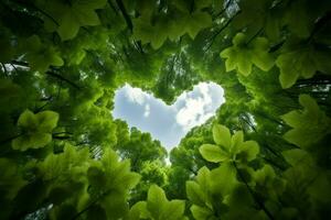 Forest canopy, bottom view, sky forms a heart shape Beautiful AI Generated photo