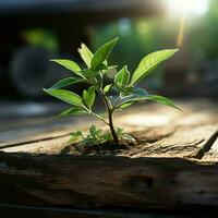 Tiny plant thrives on timber surface, a breath of fresh nature indoors For Social Media Post Size AI Generated photo