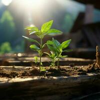 Tiny plant thrives on timber surface, a breath of fresh nature indoors For Social Media Post Size AI Generated photo