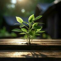 Tiny plant thrives on timber surface, a breath of fresh nature indoors For Social Media Post Size AI Generated photo