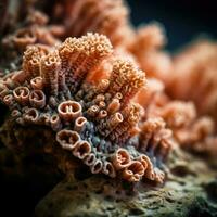 Mineral stone coral close-up. Generative AI photo