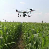 Corn field, harvesting. Generative AI. Drone, modern technology. photo