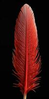 Red feather close up on black background. Generative AI photo
