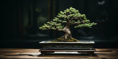 bonsai árbol en un oscuro antecedentes. minimalismo generativo ai foto