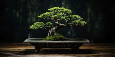 bonsai árbol en un oscuro antecedentes. minimalismo generativo ai foto