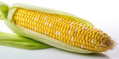 Corn on the cob close up. Corn on a white background. Generative AI photo