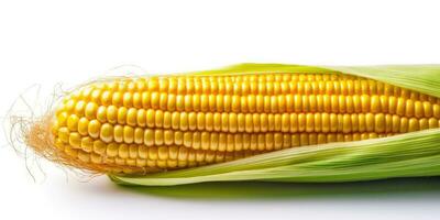 Corn on the cob close up. Corn on a white background. Generative AI photo