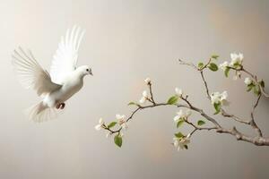 un agraciado blanco pájaro en vuelo siguiente a un rama adornado con delicado blanco flores foto