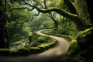 a serene and enchanting forest path surrounded by vibrant greenery photo