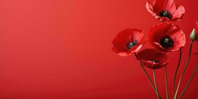 Poppy day. Memory of all the soldiers who died in wars involving Great Britain. Generative AI photo