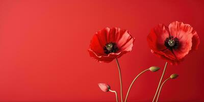 Poppy day. Memory of all the soldiers who died in wars involving Great Britain. Generative AI photo