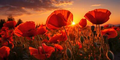 Field of poppies at dawn. Poppy day. Memory of all the soldiers who died in wars involving Great Britain. Generative AI photo