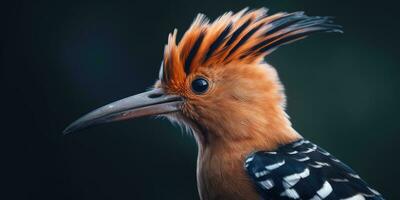 Hoopoe bird on a branch close-up. Generative AI photo