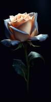 Rosa flor con lluvia gotas. imagen para un póster o tarjeta postal. generativo ai foto