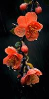 Japanese quince flowers close up. Generative AI photo