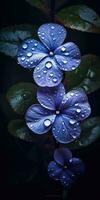 gorgeous periwinkle flower with raindrops. Generative AI photo