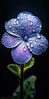 gorgeous periwinkle flower with raindrops. Generative AI photo