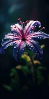 hermosa flor con gotas de lluvia en un oscuro antecedentes. foto para póster o fondo de pantalla. generativo ai