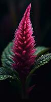 amaranth on a dark background close-up. Generative AI photo