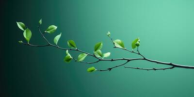 Branch with green leaves on green background. Minimalism. space for text. Generative AI photo