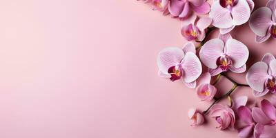 Pink orchids on pink background, top view, space for text or your product. Generative AI photo