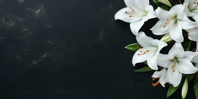 White lilies on black background, top view, space for text or your product. Generative AI photo